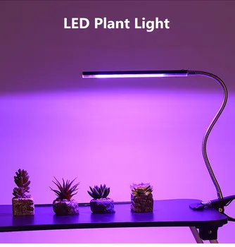 table lamp for plants