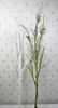 Decorative Try Branch Decorative Birch Branches