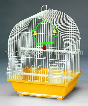 bird case