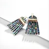 wholesale 2019 new design hyperbolic abalone shell dangle tassel earrings acetate tortoise shell dangling earrings