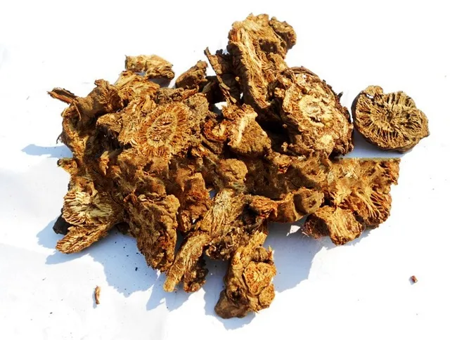 100% pure herbal oil notopterygium oil for medical use