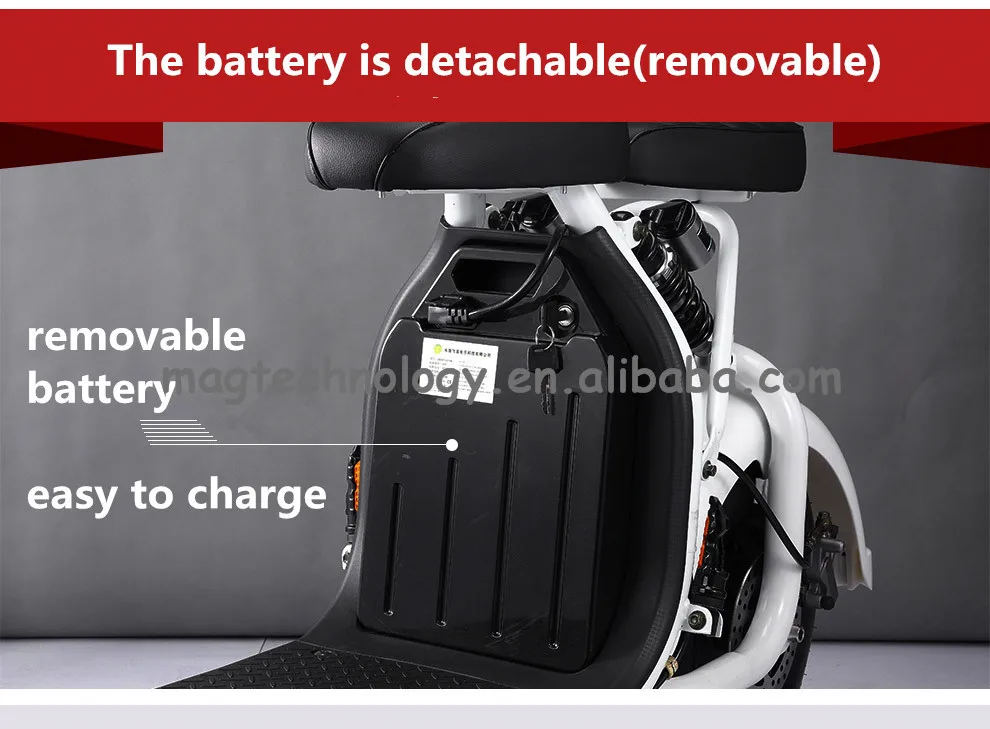 Citycoco Removable Battery Original Liion Battery Foldable Standing