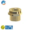 Brass stainless steel male female Threaded Explosion proof pipe adapter pipe fittings with CNEx ATEx IECEx Certificate