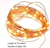 Christmas RGB remote control 12V led copper wire string lights