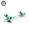 Fish Tri color mini cruiser fish skateboard from TONLIM