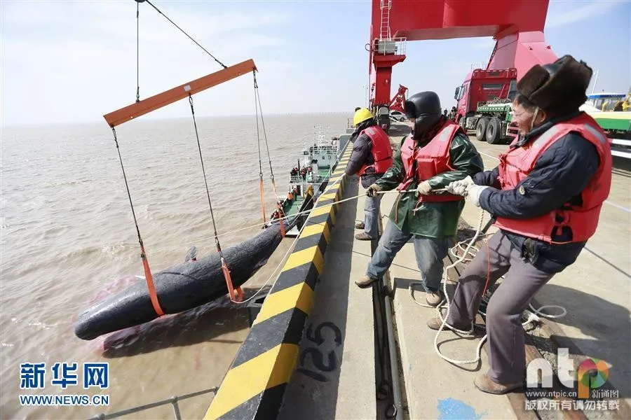 Enjoin Flat Polyester bing Sling Favorable Hs Code Buy bing