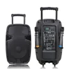 BTSP1502 15 inch battery powered speaker portable bluetooth wireless pro audio rechargeable pa speaker