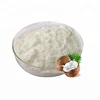 Manufactory Supply Best Price Pure Organic Instant Coconut Water Milk Cream Powder