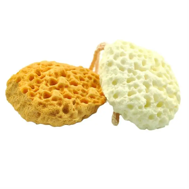 sponge face.jpg