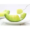 Sweet Melon Muskmelon Quality Fruit Fresh With Good Taste