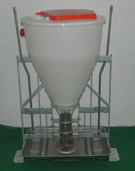 Automatic Pig Feeder Nursery Feeder Wet Dry Feeder Piggery