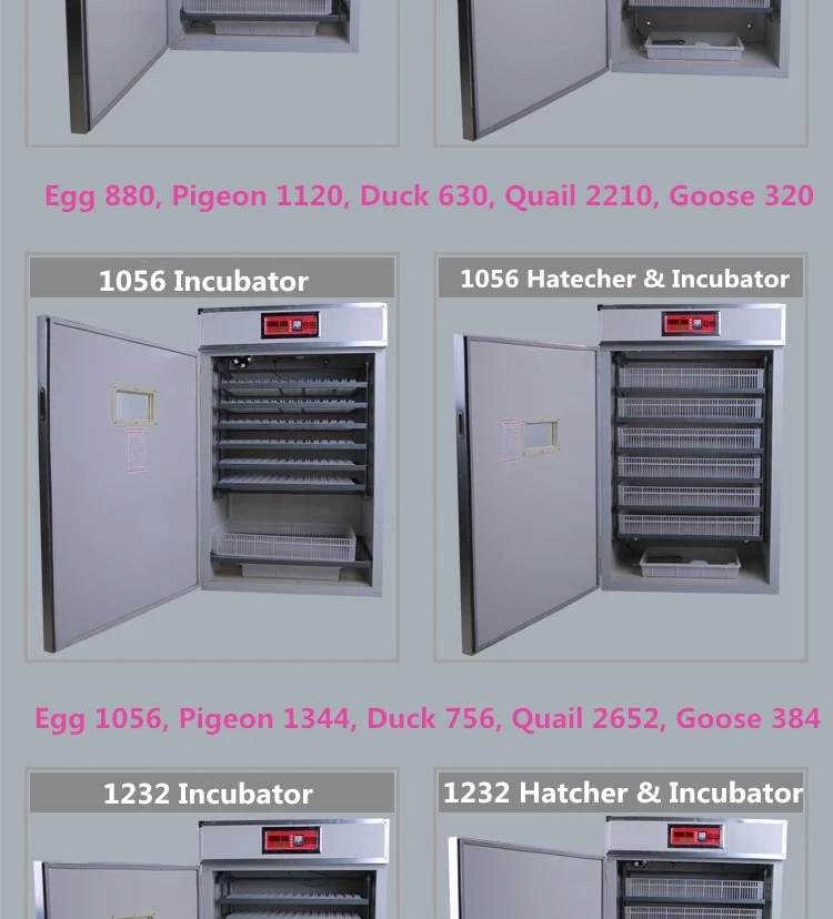 chicken incubator
