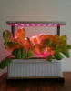 Mini indoor smart home garden electronic smart herb garden greenhouses