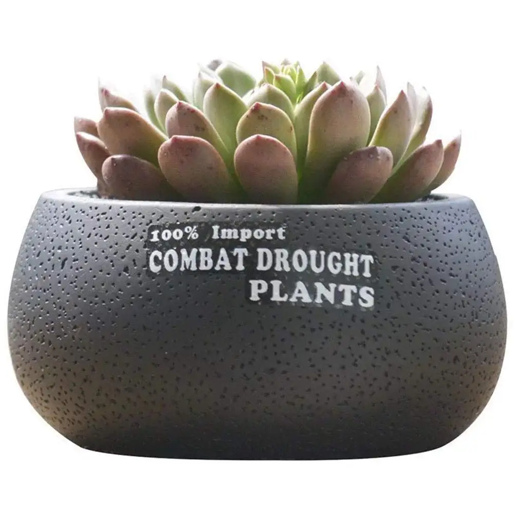 Grandma's Story Flower Pot, Round Cement Succulent Plant Pot/Cactus Plant Pot Container Planter