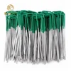 Trade Assurance High quality U-shaped turf nails stable