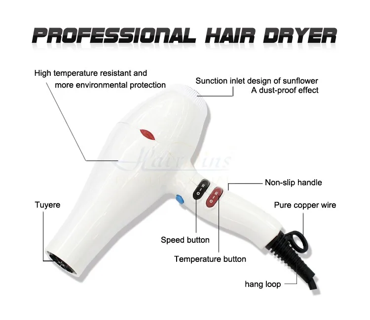 Hw6815 Fashional No Noise Plastic Swivel Power Cord Hair Dryer Fan