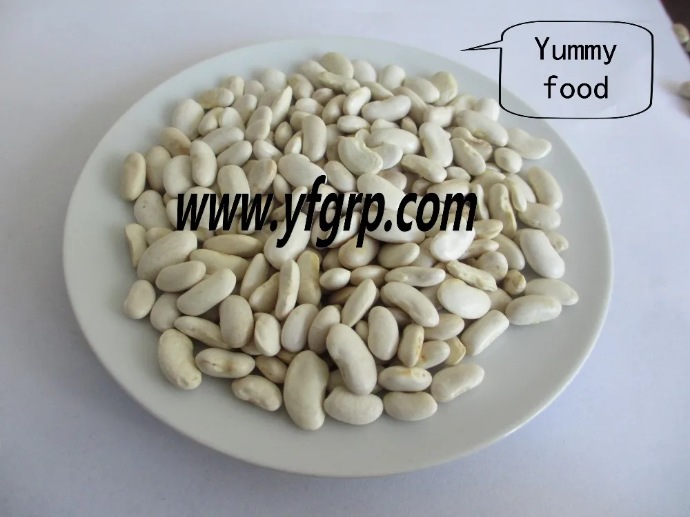 Export 2017 New Crop White Beans Long Shape For Hot Sale Buy Fresh