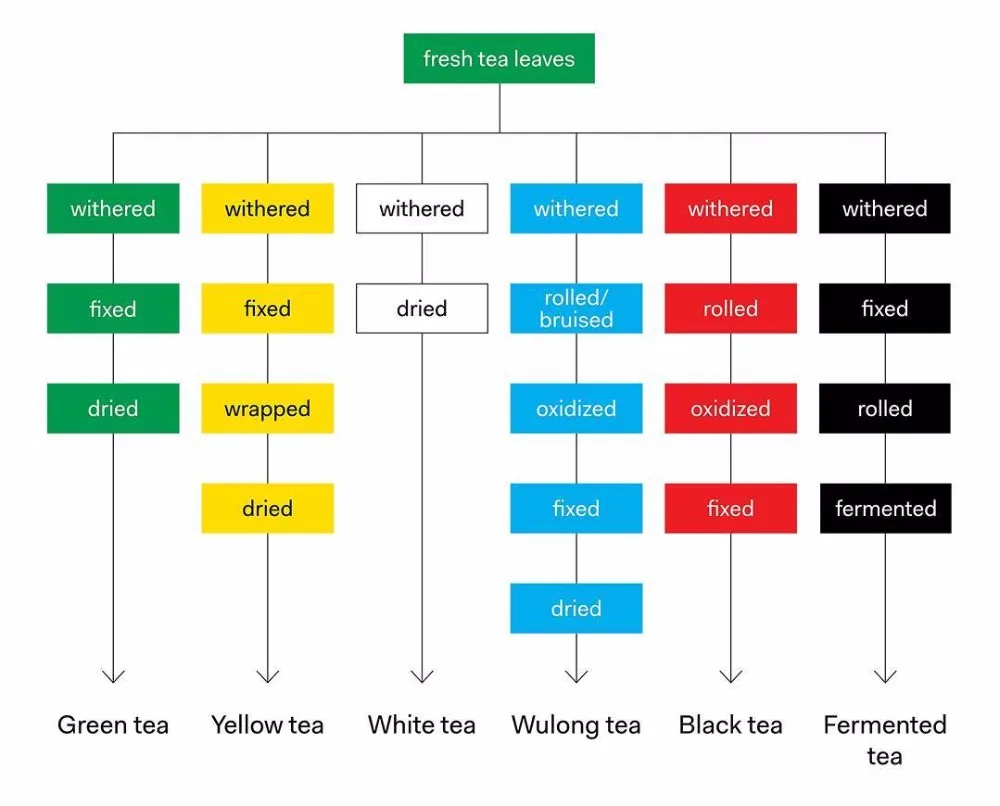 High Quality Junshan yinzhen ,Chinese yellow Tea - 4uTea | 4uTea.com