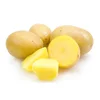 2019 New crop fresh potato