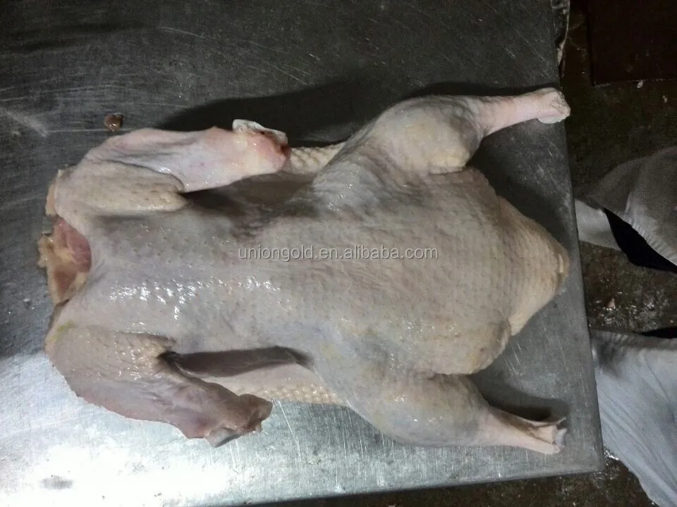 whole duck (1).jpg