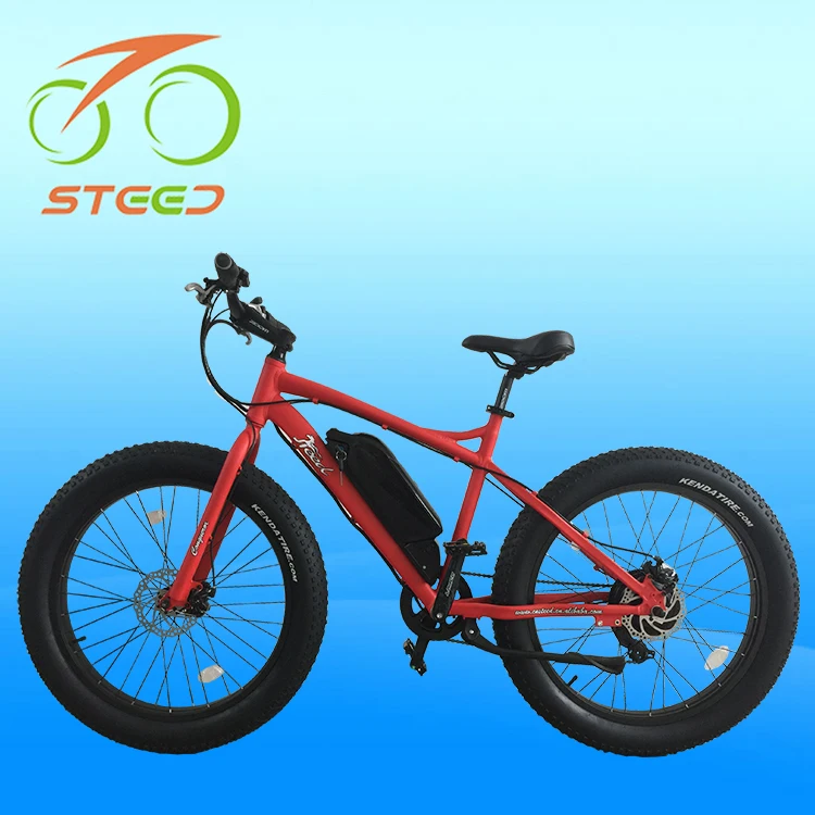 Hot Selling Electric Bicycle In Malaysia Nepal Pune Market ...