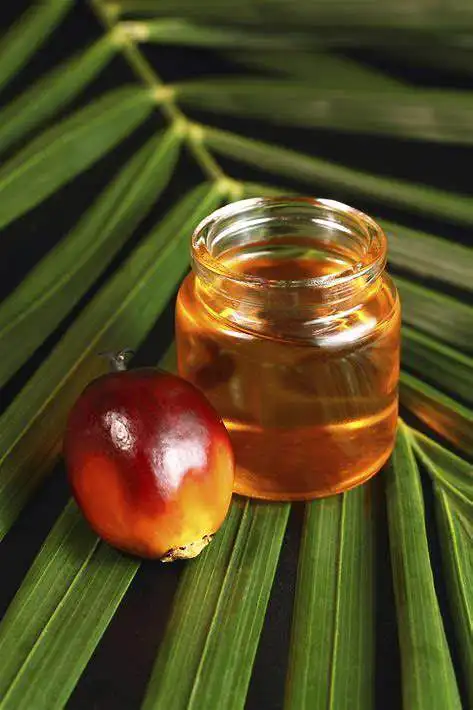 马来西亚廉价食用棕榈油从马来西亚出口到沙特阿拉伯,迪拜,印度尼西亚
