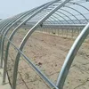 Greenhouse frames used for agriculture from Manufacture