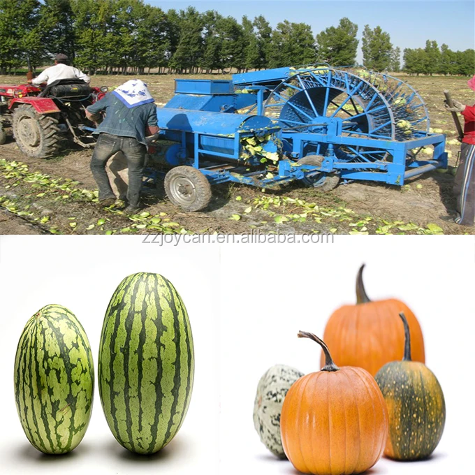 Best Quality Watermelon Seeds Extraction Machine Seed Extractor Buy Watermelon Seeds