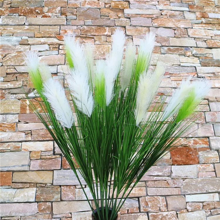 pampas grass (11).jpg