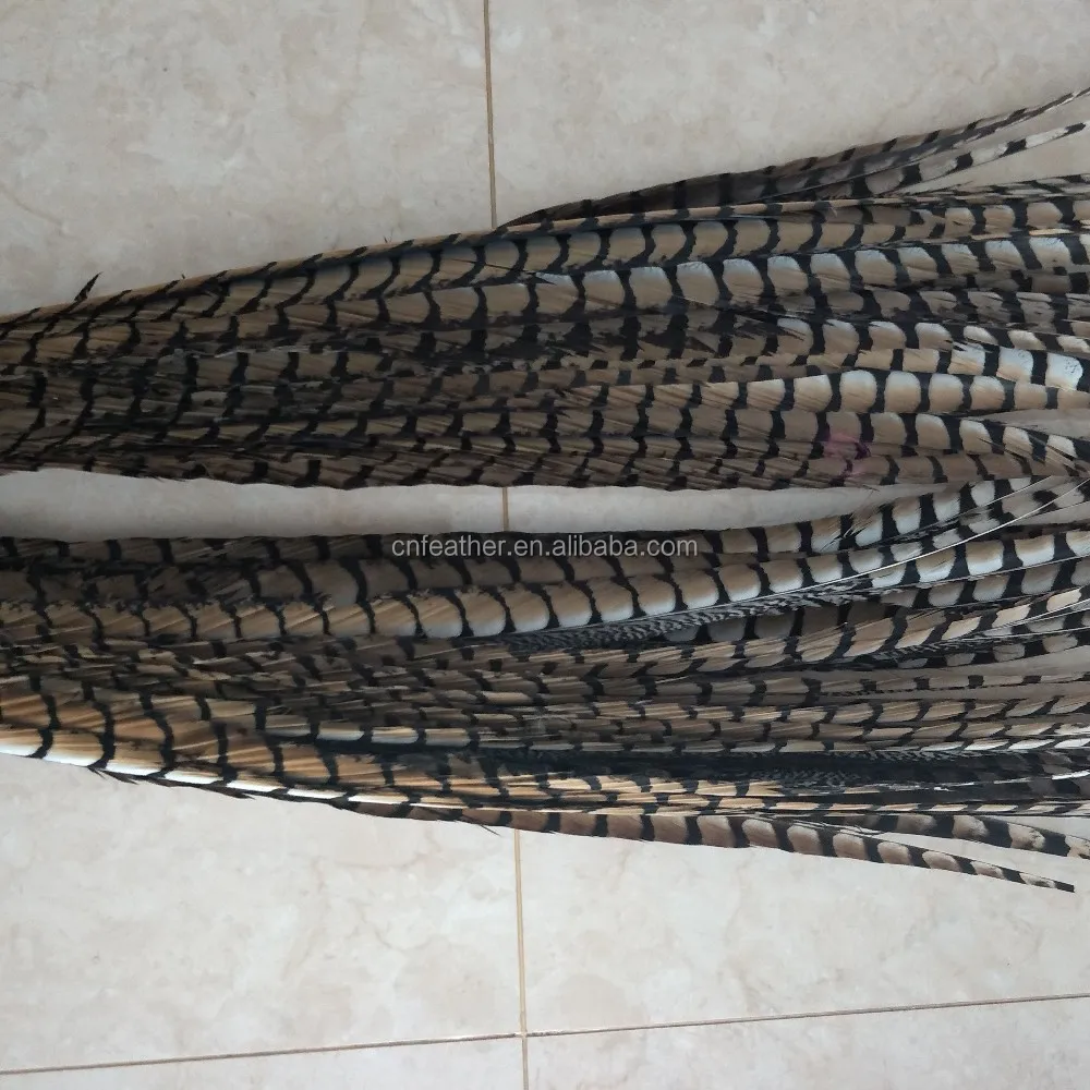 Ringneck Fazant Staartveren voor Ambachten 40-45CM 16-18Zwart