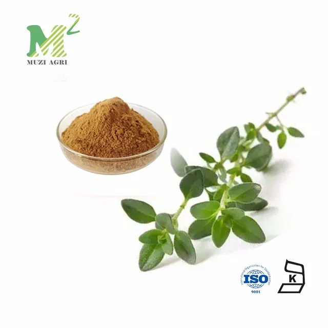 Good Quality Based On Best Price Thymus Serpyllum Extract Powder Buy