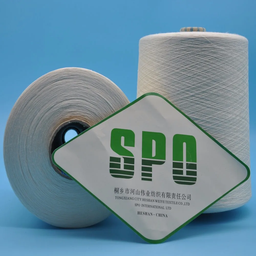 Raw Mulberry Yarn Silk For Weaving Or Knitting 3a 4a 5a 6a 20/22d 27