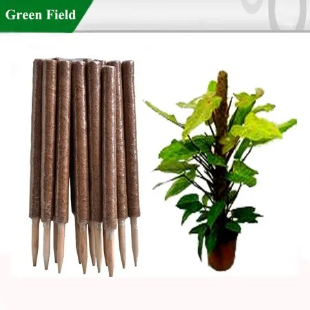 green field cheap coir grow pole plant stakes