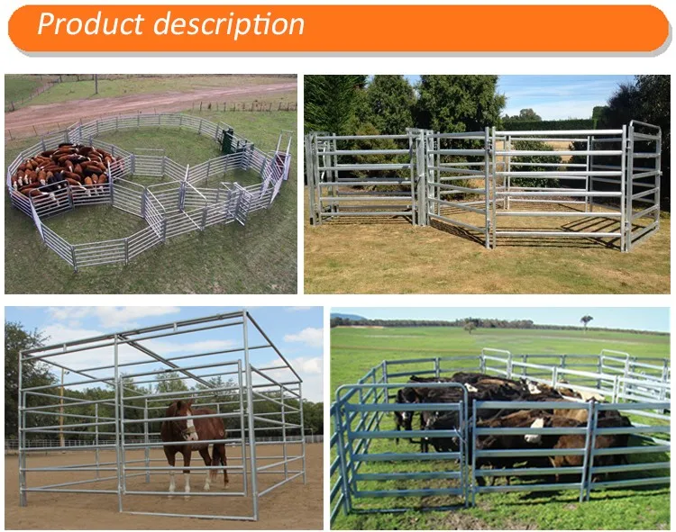 Portable Galvanized Sheep Pipe Corral Fence Panels - Buy Pipe Corral ...