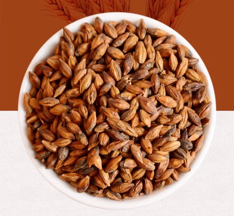 Bulk Wholesale Roasted Barley Grain Tea Health Food Drink Barley Tea - 4uTea | 4uTea.com