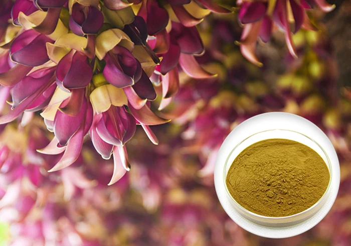mucuna pruriens seeds prices