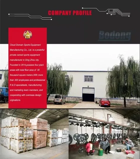 Company profile1.JPG