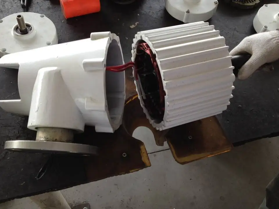 1000w Homemade Permanent Generator Buy Permanent