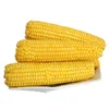 Non-Gmo Halal Food sweet corn for fast food