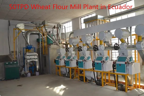 Double rollers wheat flour mill milling machine