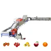 Fruit & Vegetable Processing Washing and Grading Machine CE Approved