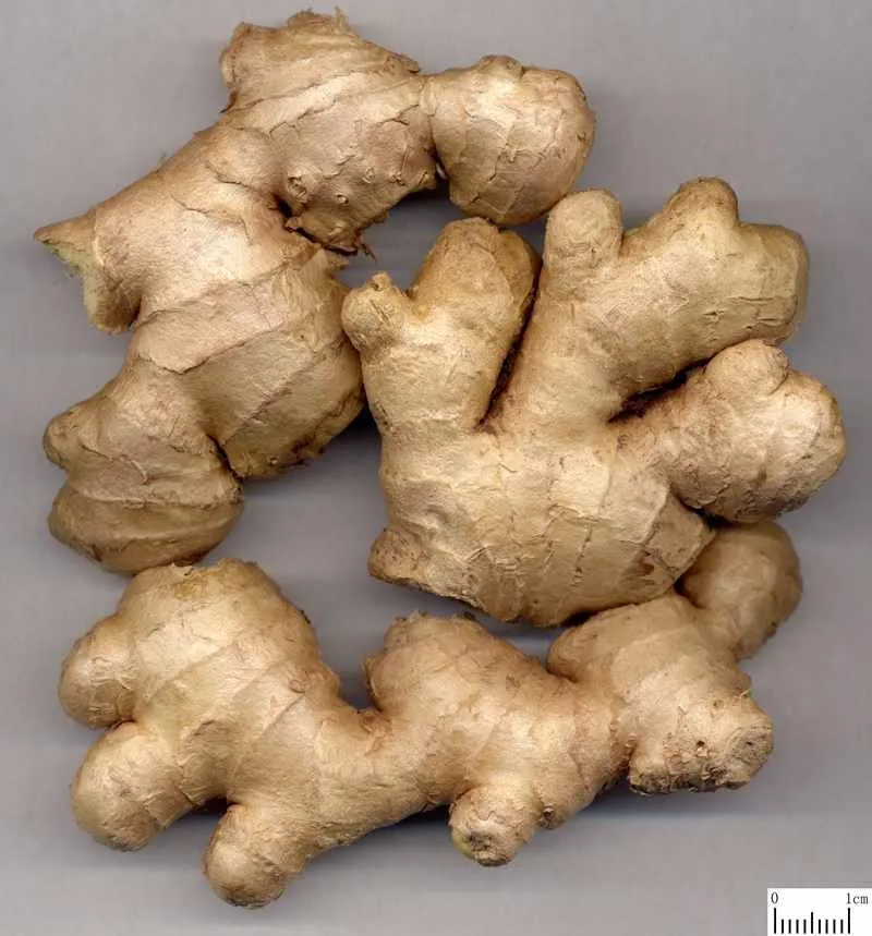 Ginger extract Gingerol.jpg
