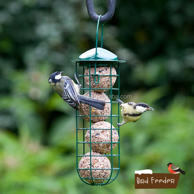 Hot Sell Metal Nut Feeder Squirrel Buster Plus Wild Bird Feeder