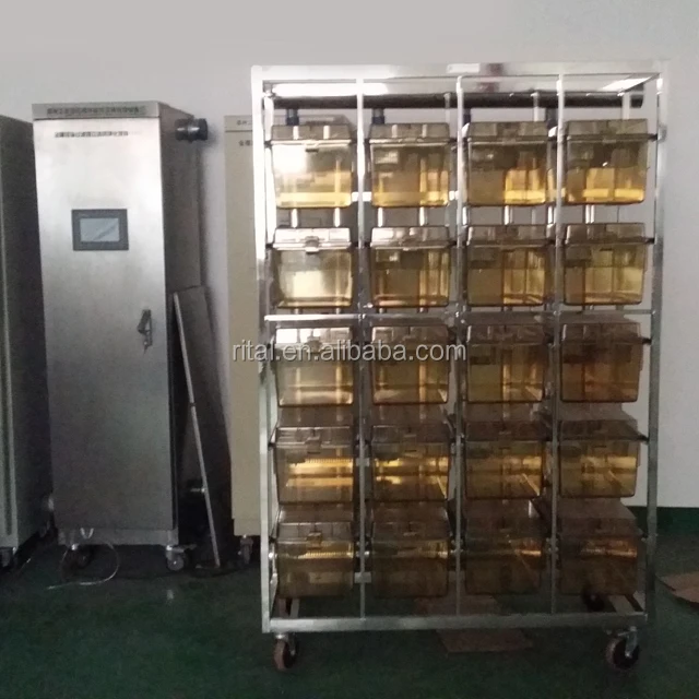 Individually Ventilated Ivc Laboratory Rabbit Cage Buy Ventilated Ivc