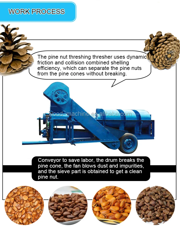 Good Quality Pine Nut Thresher Nut Crusher Machine High Efficiency Pine