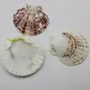 Hot Sale 36-45MM Nautical Decor Beach Sea Shell Drilled Beads Craft DIY Jewelry Supplies