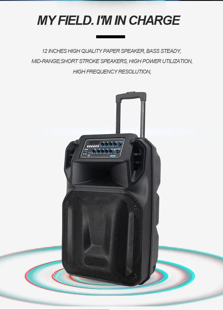 high quality active subwoofer speaker portable pa speaker - ANKUX.COM
