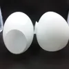 Decorative frost glass lampshade ceiling lamp cover for home decoration