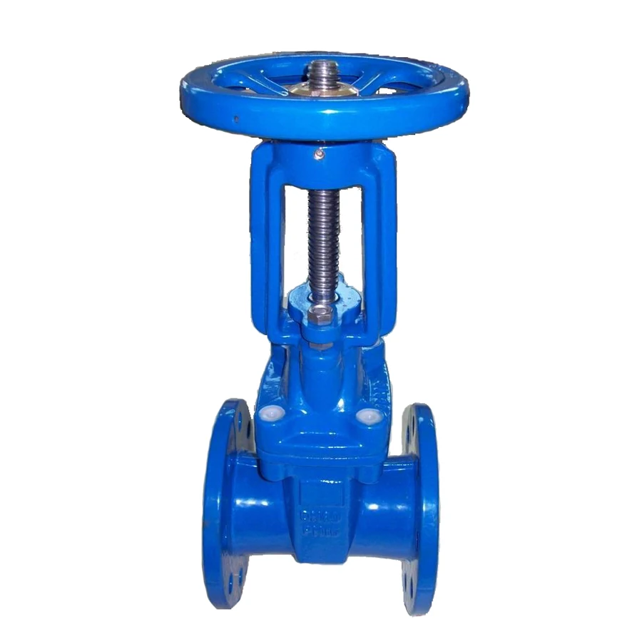 Rising stem gate valve 3.jpg