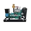 CE approved high efficiency 40kw small natural gas generator